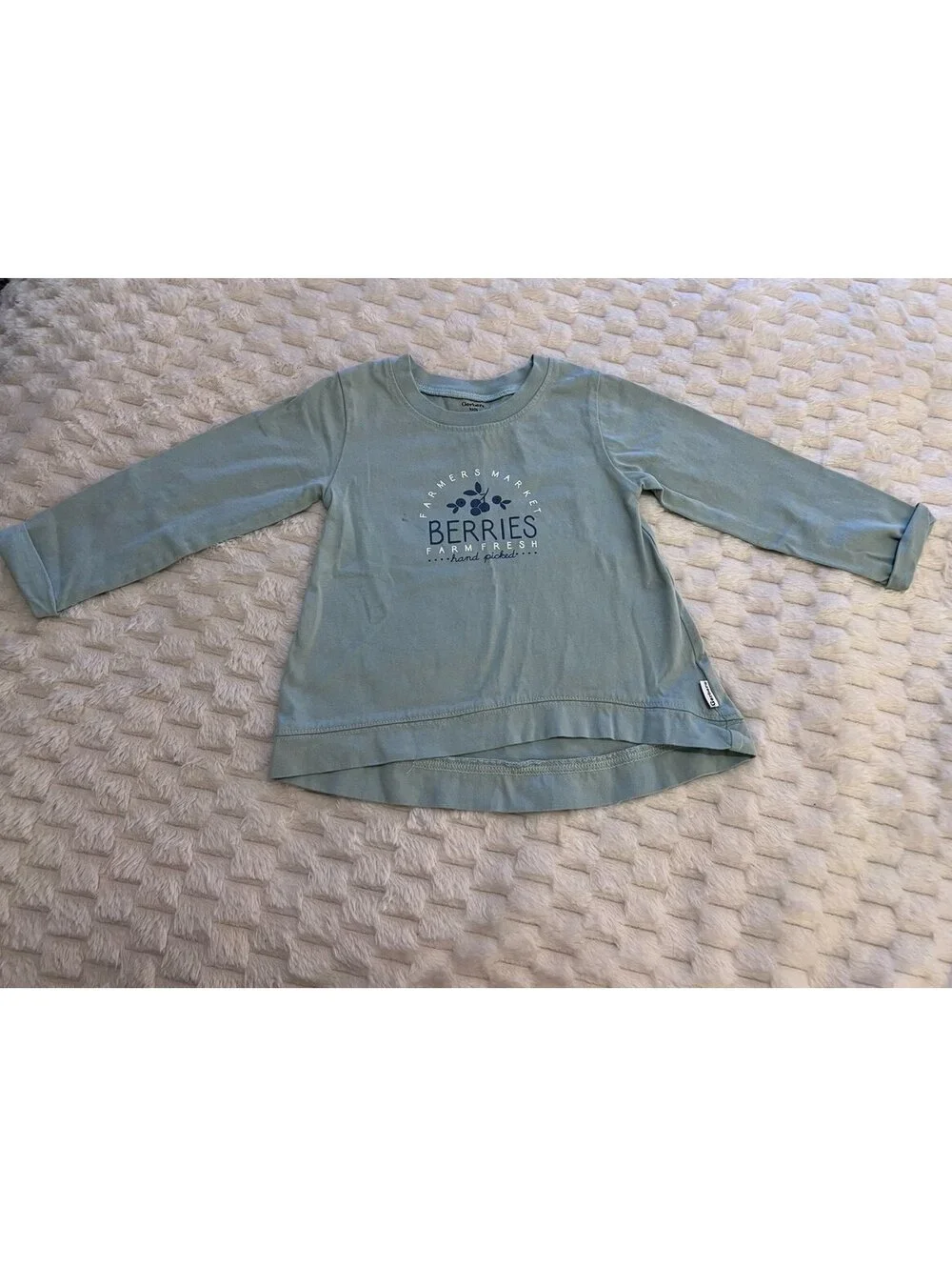 Gerber Girls Long Sleeve Shirt Set (3T)
